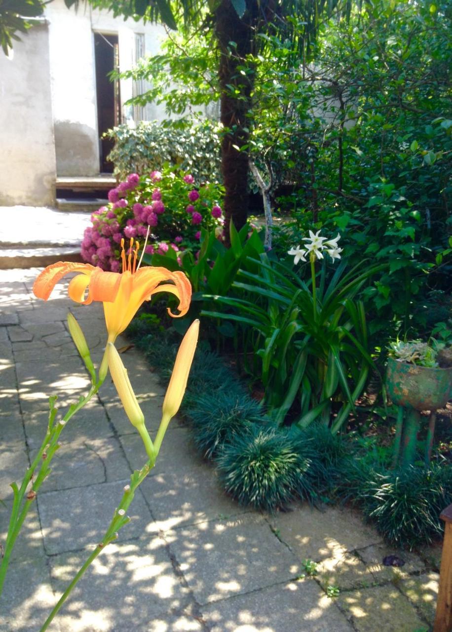 Colibri Home Kutaisi Exterior foto